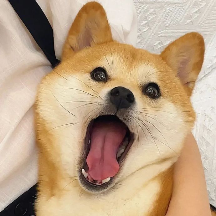 q	q头像黑白侧身