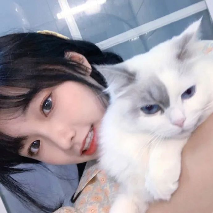 猫咪的女生头像(猫咪女生头像)